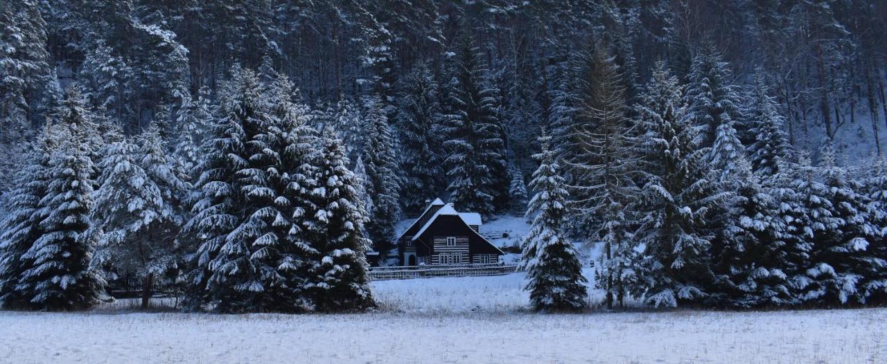 Hlucov Lesni Holiday home