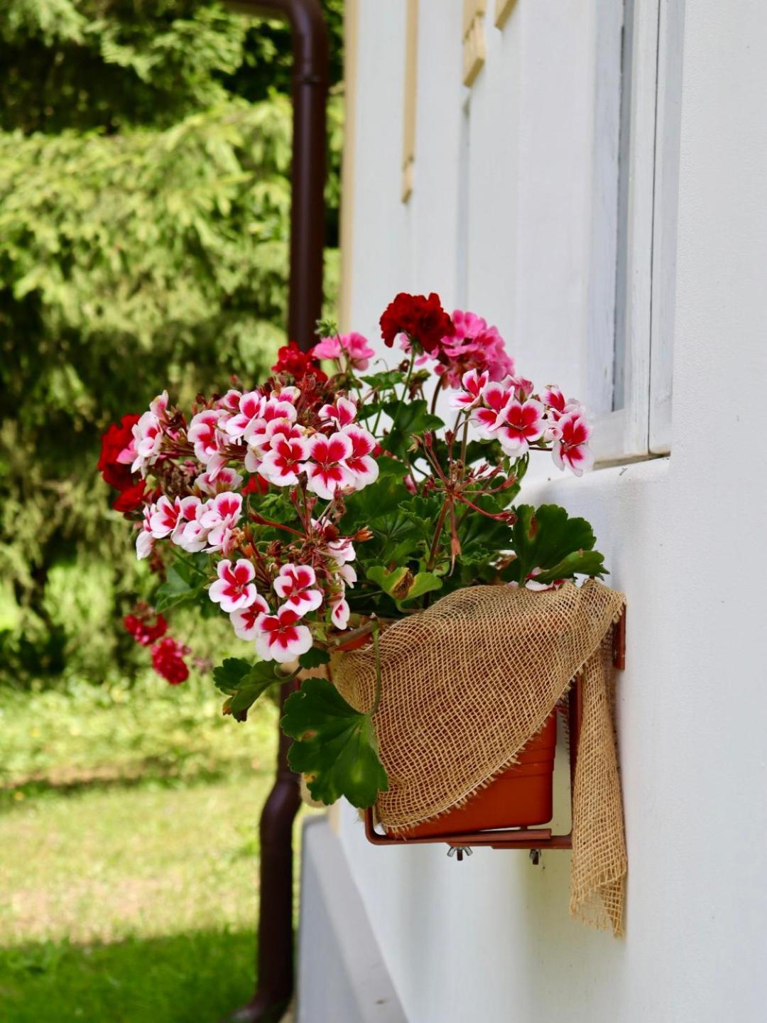 Holiday home Hlucov Lesni *